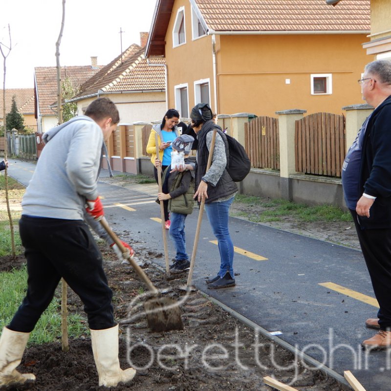 Közösségi faültetés Berettyóújfaluban 69